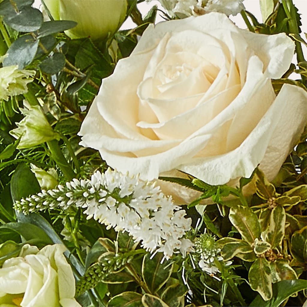Cashmere Bouquet – JENNY'S FLOWER, Brooklyn NY