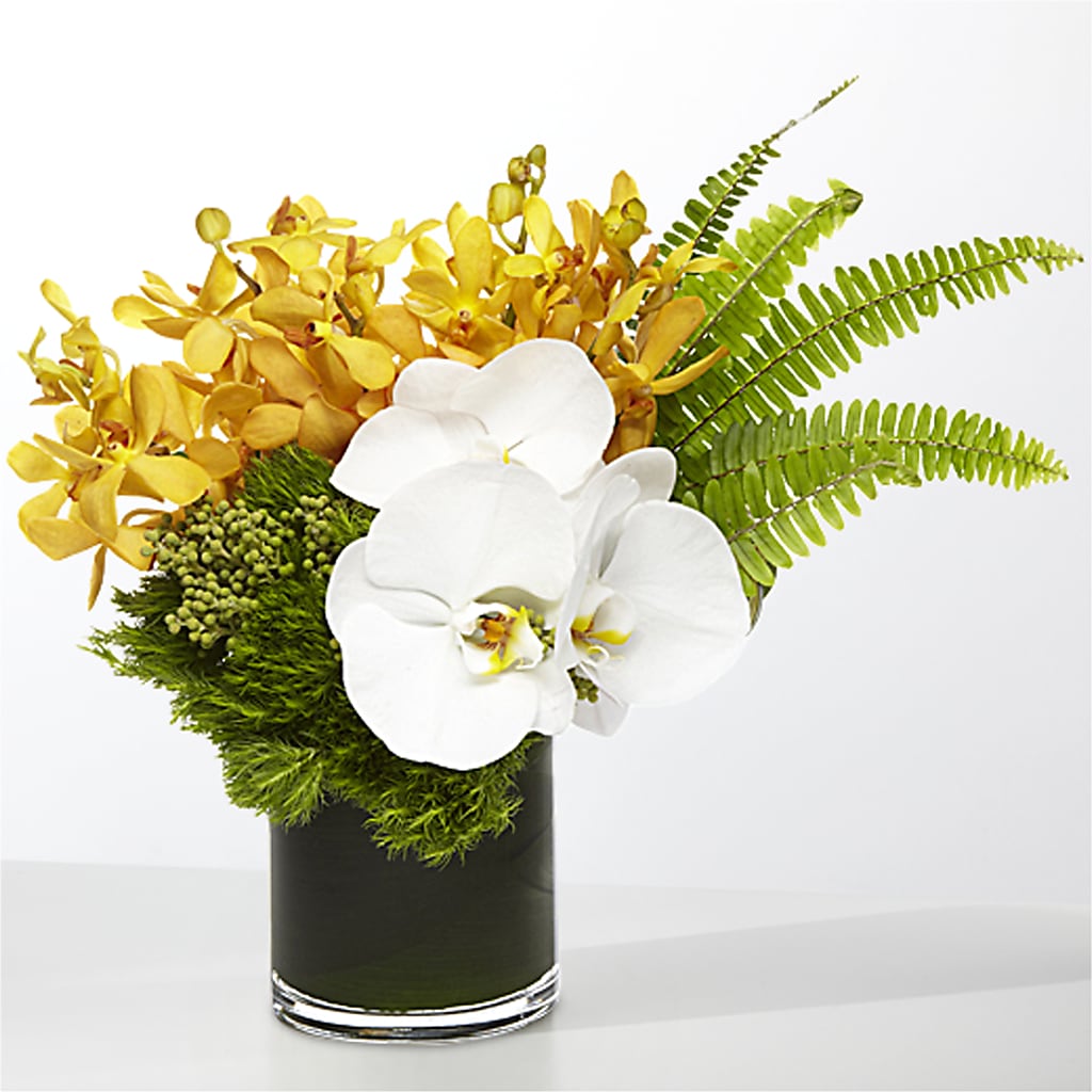 The Tropics – JENNY'S FLOWER, Brooklyn NY