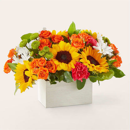 Sun-drenched Blooms Box Bouquet – JENNY'S FLOWER, Brooklyn NY