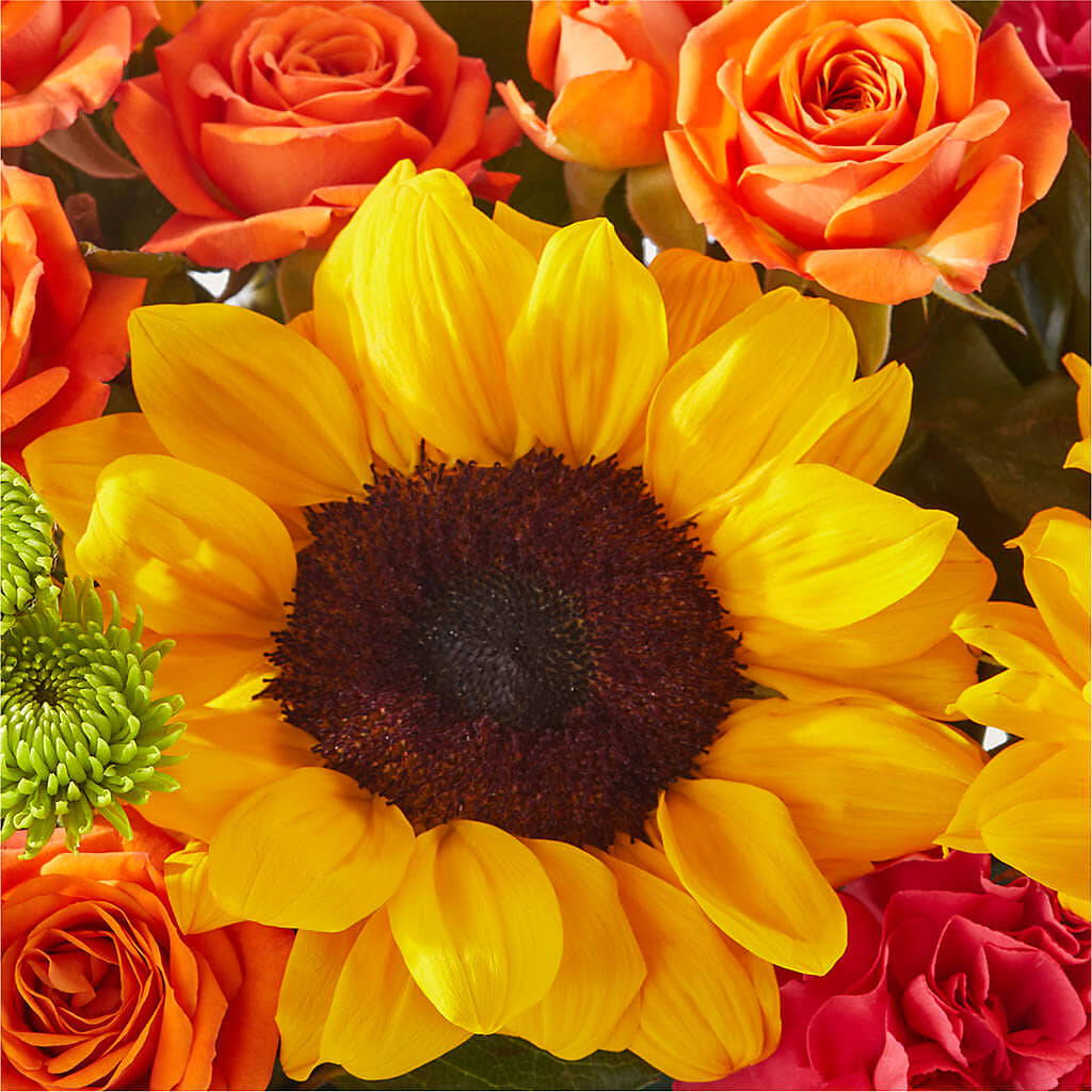Sun-drenched Blooms Box Bouquet – JENNY'S FLOWER, Brooklyn NY