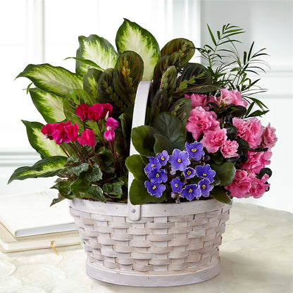 Peaceful Garden Planter – JENNY'S FLOWER, Brooklyn NY