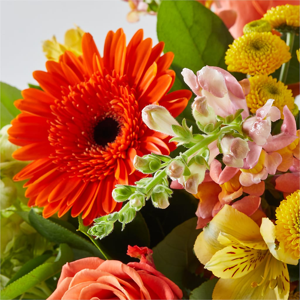 Autumn Sunshine Bouquet – JENNY'S FLOWER, Brooklyn NY