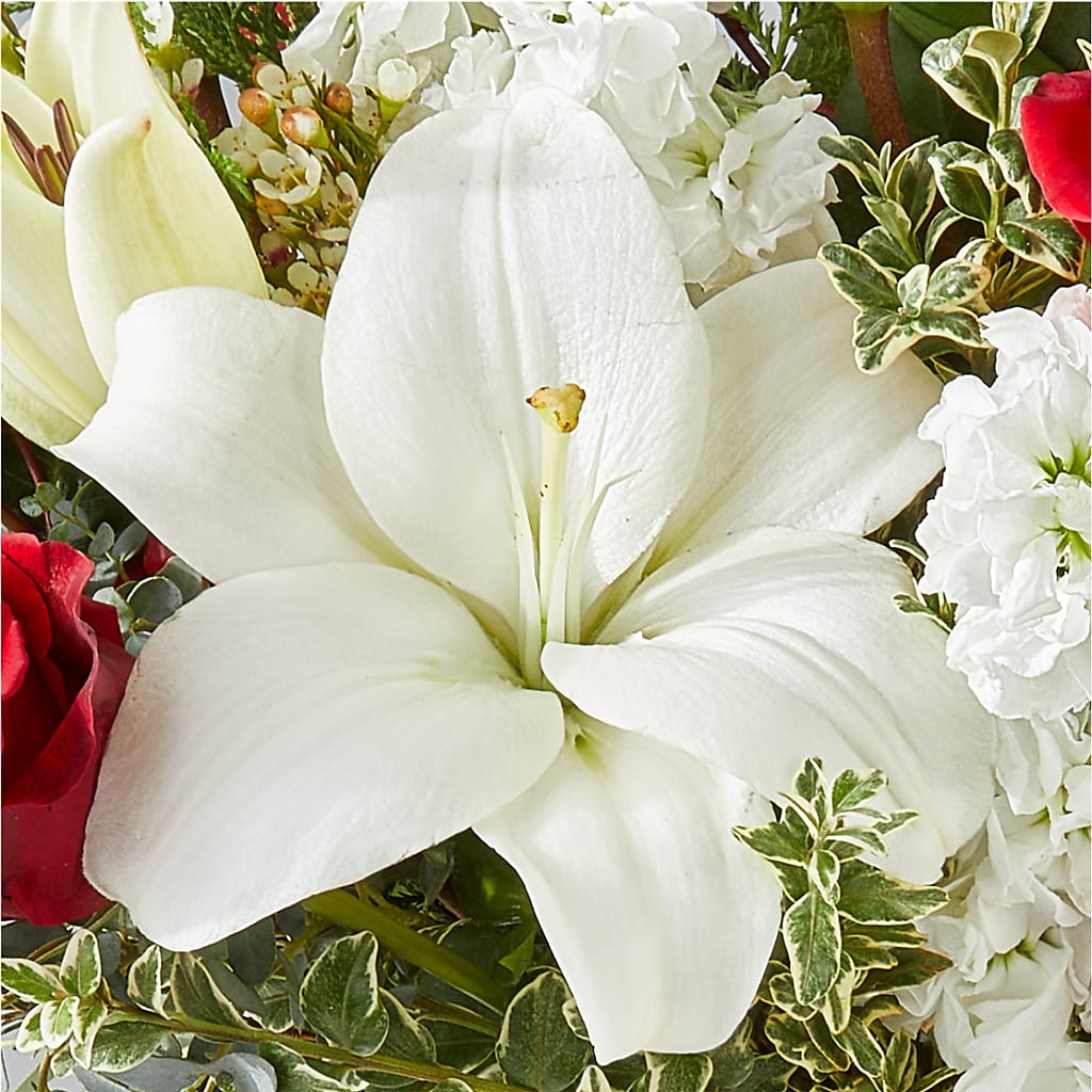 Twinkle Lights Bouquet – JENNY'S FLOWER, Brooklyn NY