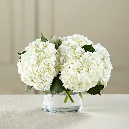 White Hydrangea Bouquet – JENNY'S FLOWER, Brooklyn NY